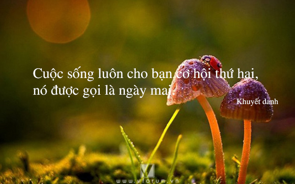 soi cầu Miền Bắc