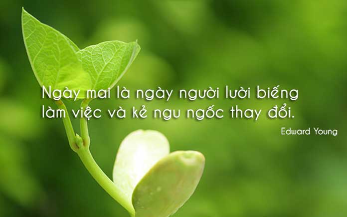 soi cầu Đà Nẵng