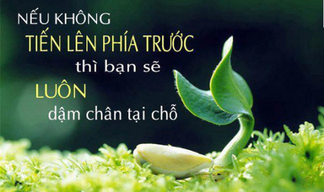 soi cầu HCM