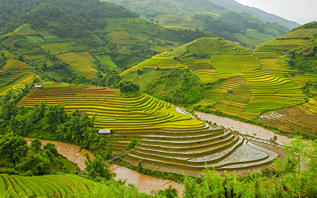 soi cầu Đồng Tháp