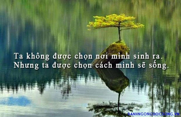 soi cầu Đồng Nai