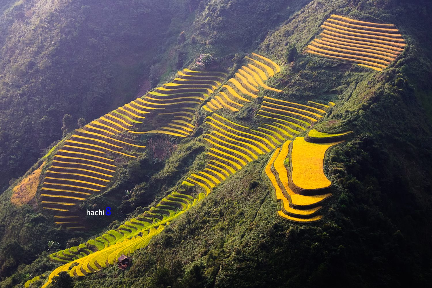 soi cầu Hậu Giang