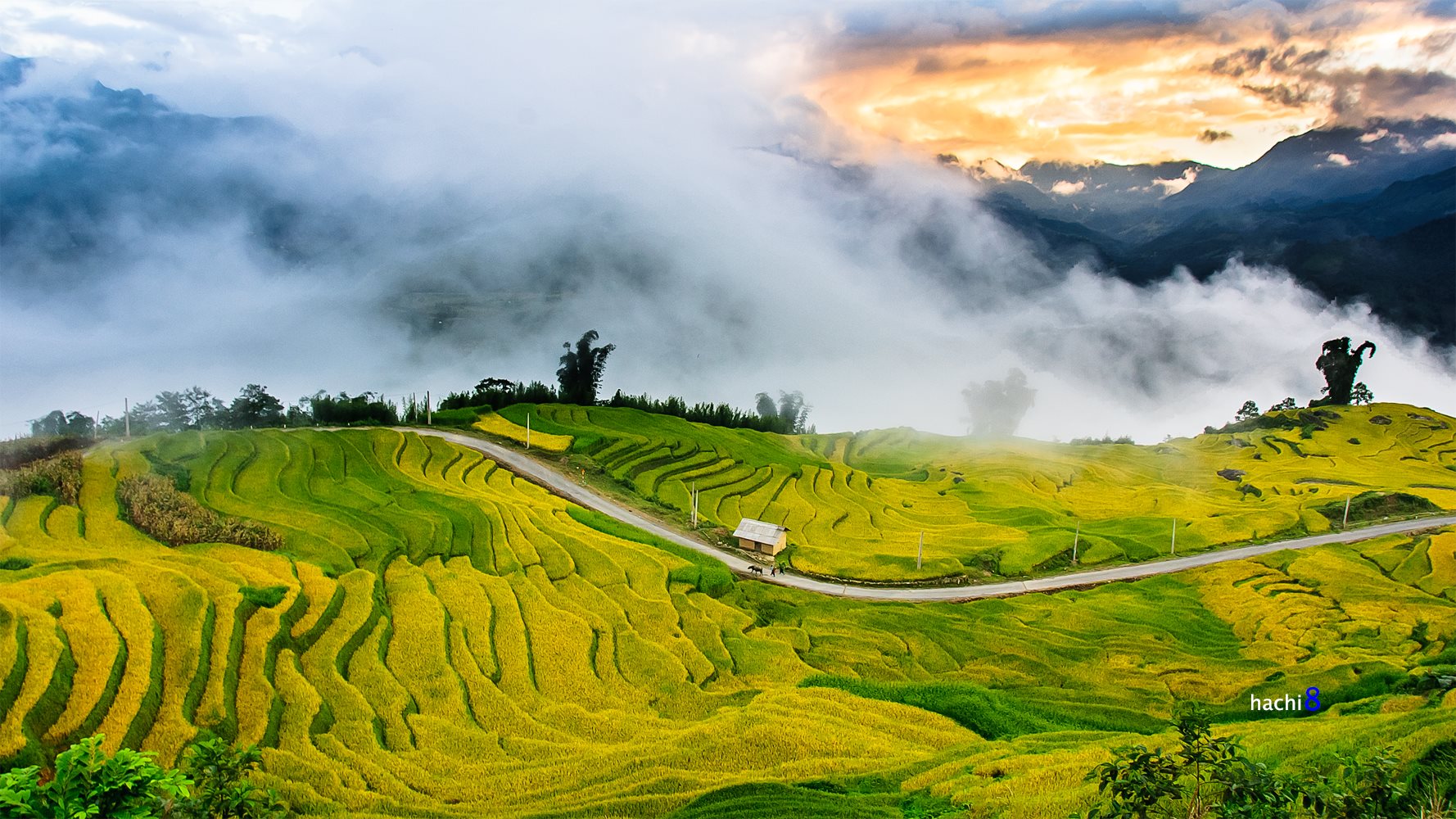 soi cầu Khánh Hòa