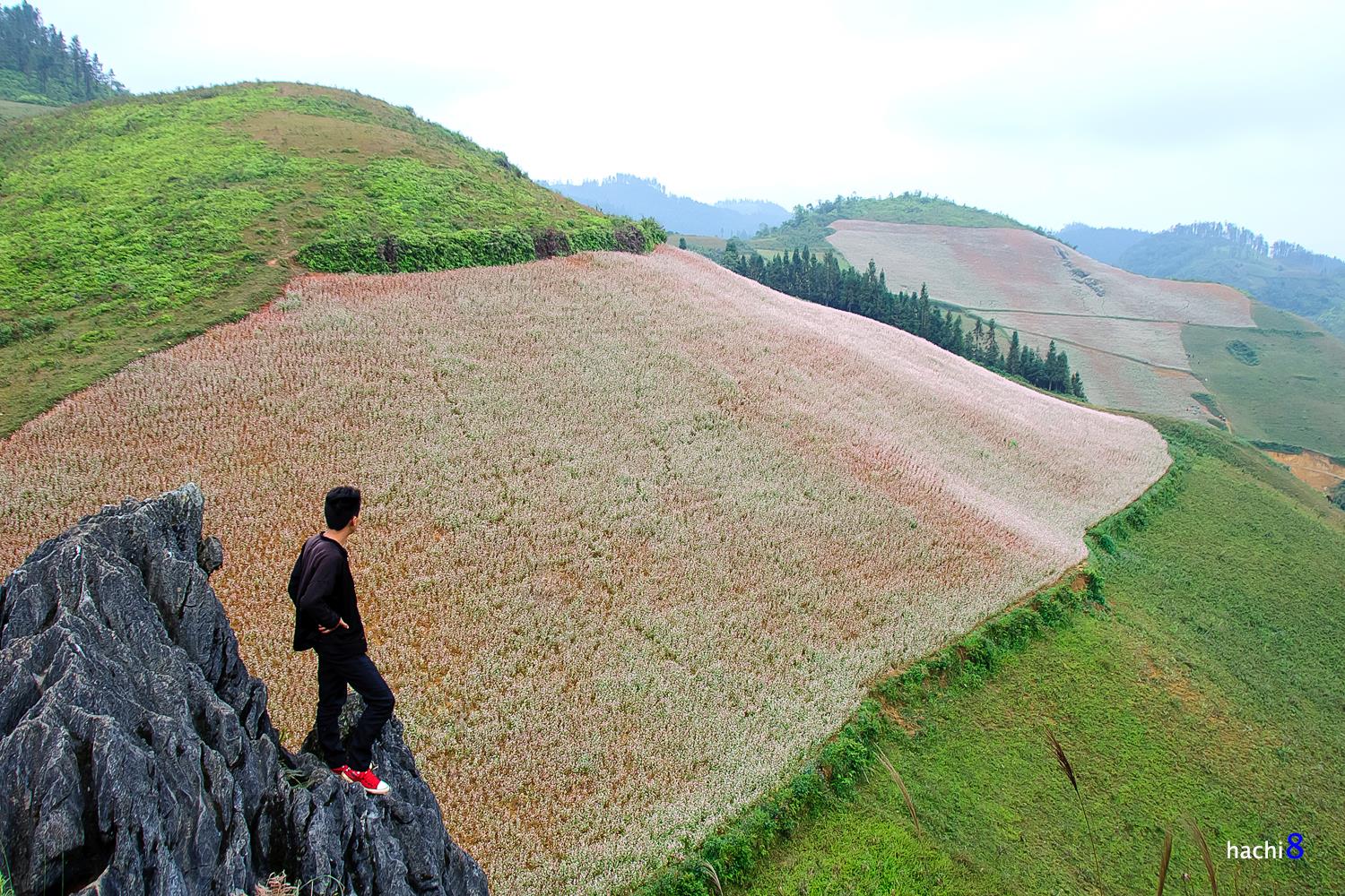 soi cầu Ninh Thuận