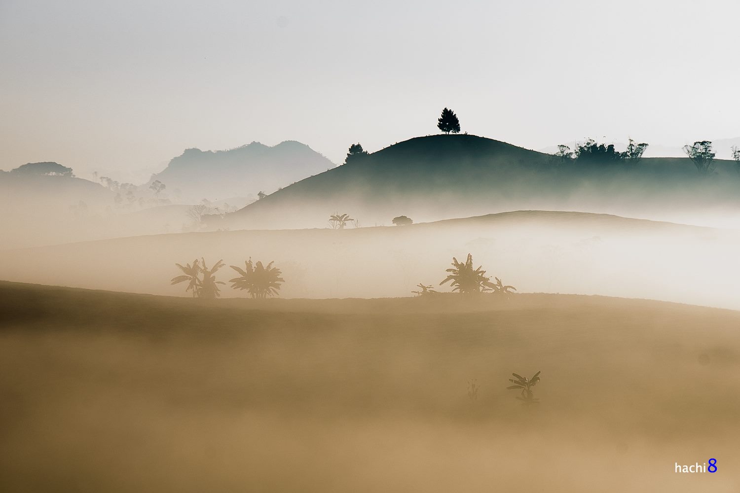 soi cầu Gia Lai