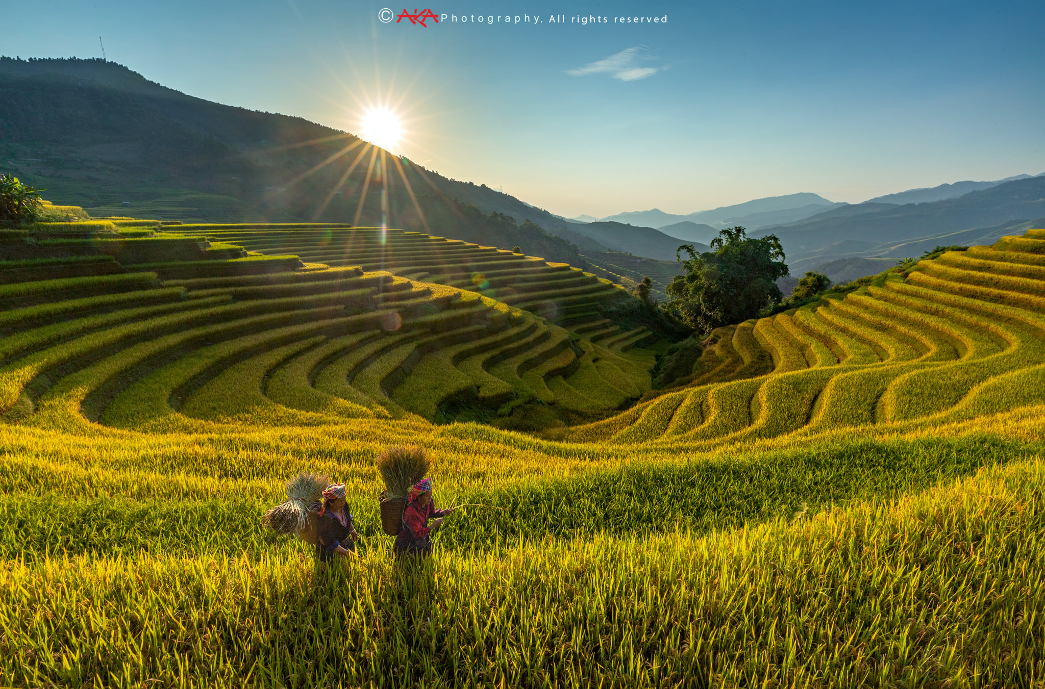 soi cầu Cà Mau