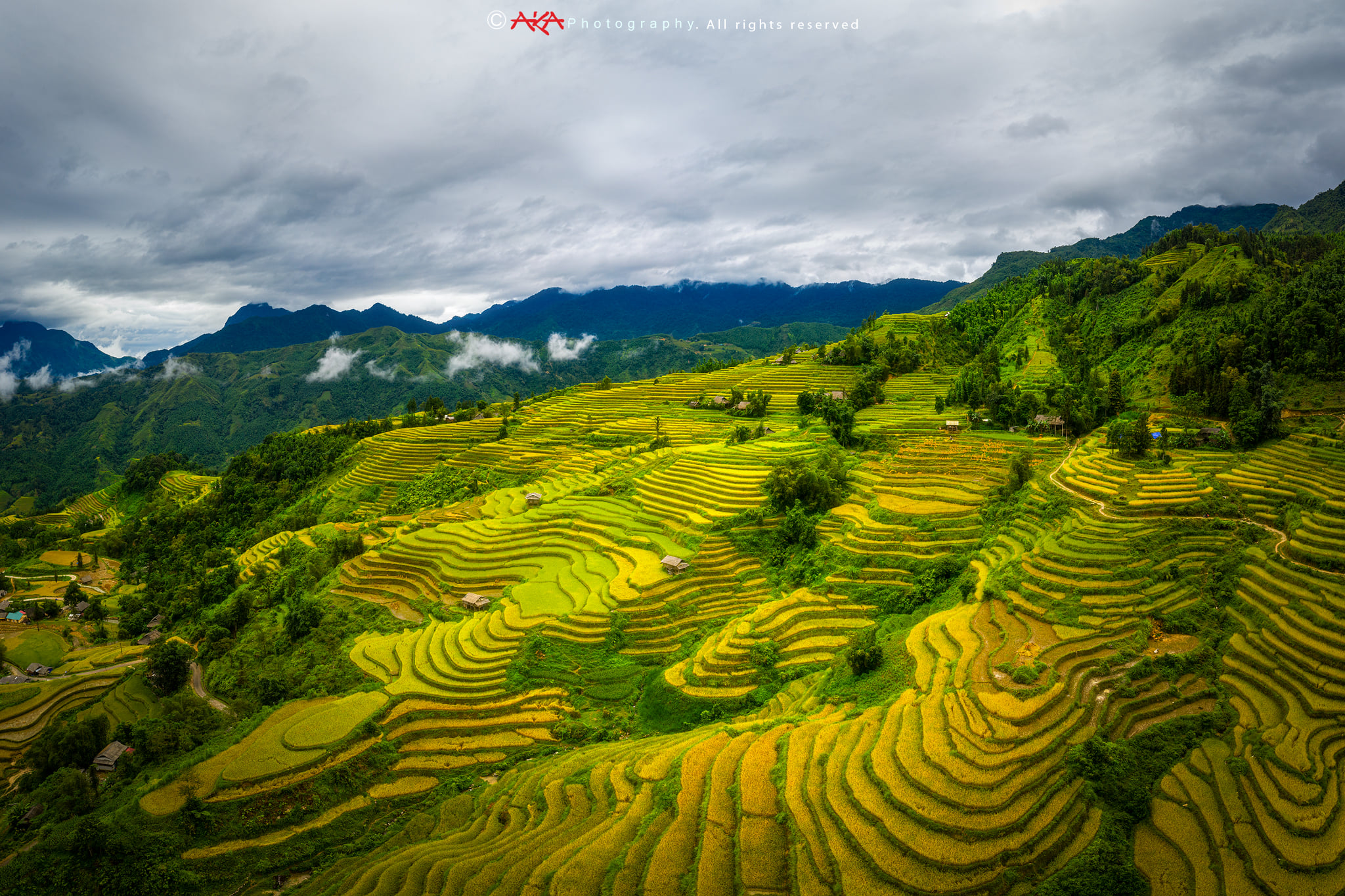 soi cầu Vĩnh Long