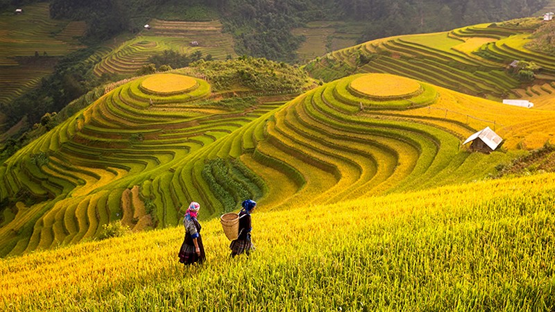 soi cầu Sóc Trăng