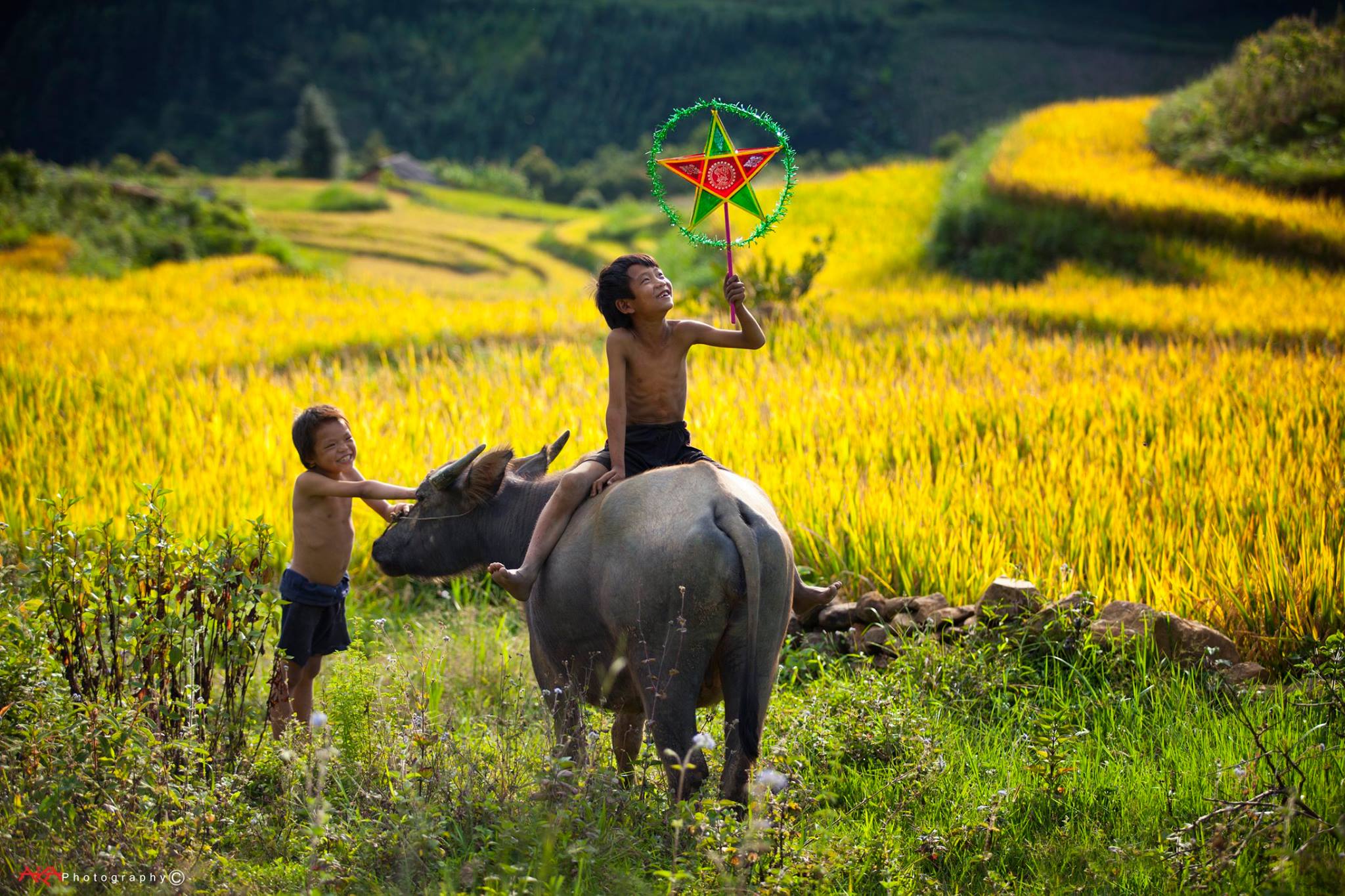 soi cầu Đà Lạt