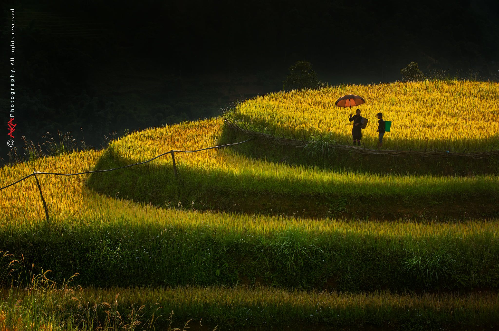 soi cầu Bến Tre