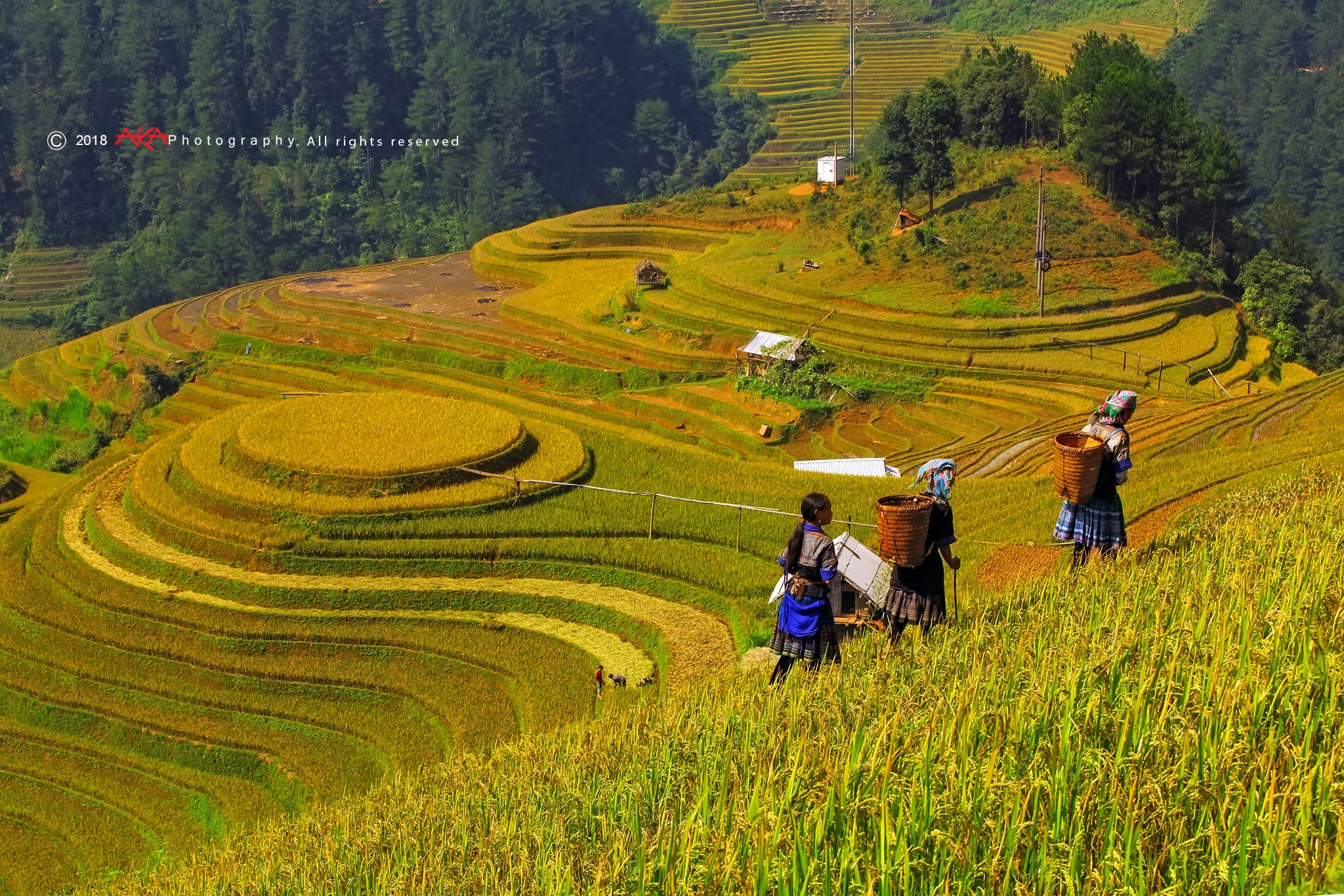 soi cầu Huế