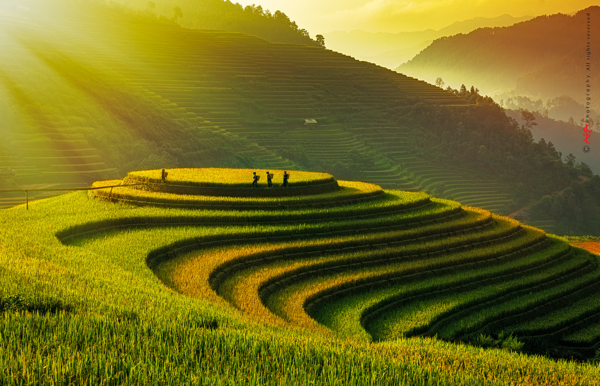 soi cầu Kiên Giang