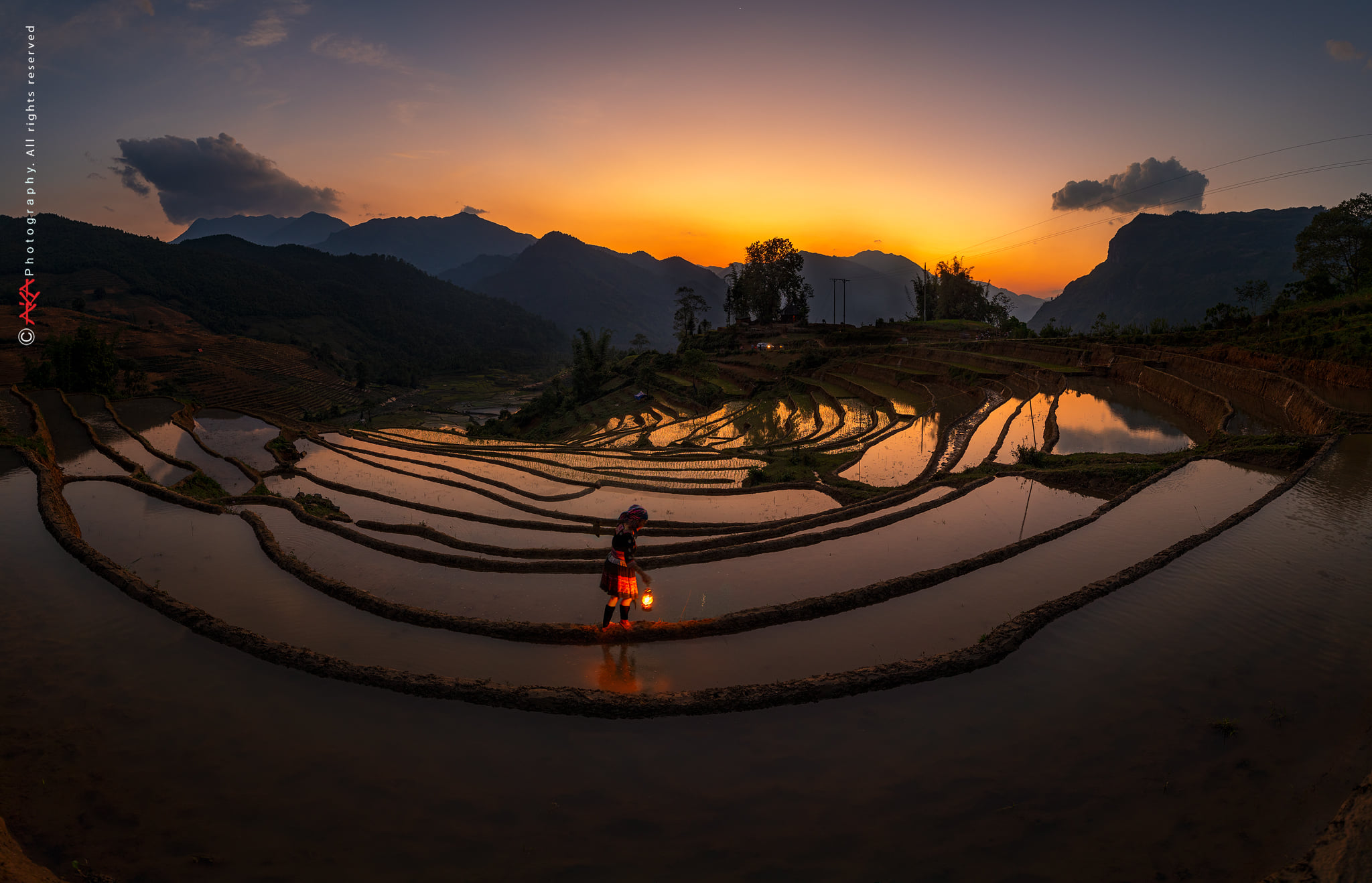 soi cầu Vĩnh Long