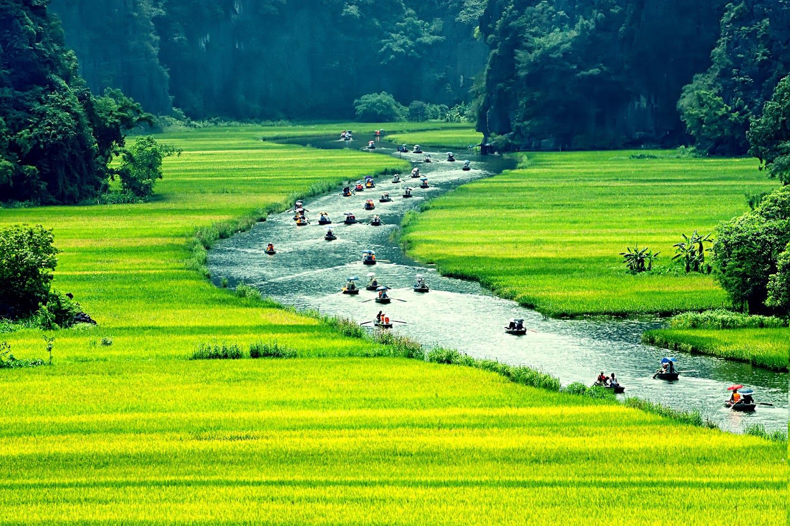 soi cầu Vĩnh Long